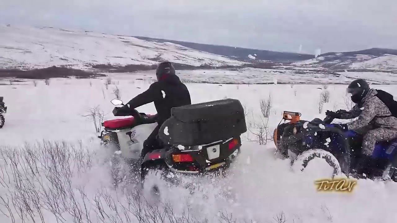 Самоизоляция достала.Тоска по природе. Апрель 2020 смотреть онлайн
