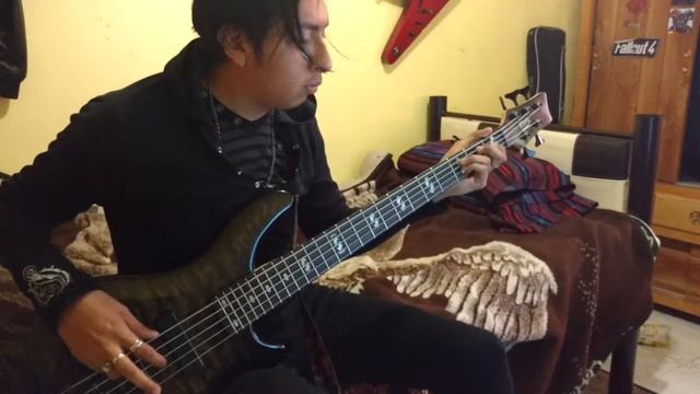 Rammstein -Mein Herz Brennt Cover bass смотреть онлайн