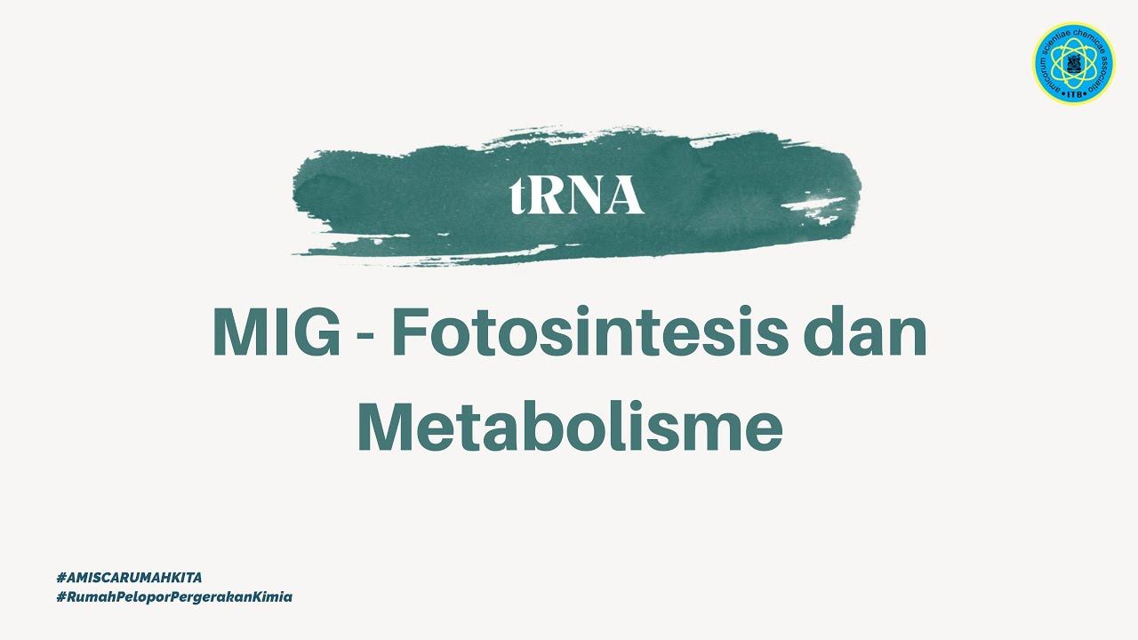 Tutorial MIG Fotosintesis dan Metabolisme (2020) смотреть онлайн