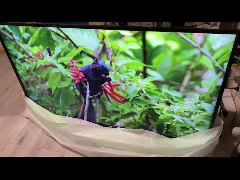 Philips 55PUS6503/60 смотреть онлайн