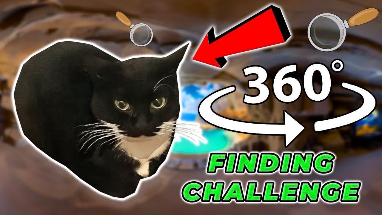 Maxwell The Cat 360° - FIND MAXWELL| VR/360 Video 🔍 🐱🐈⬛ смотреть онлайн