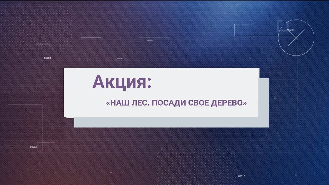 Акция "Посади свое дерево". Ольга Попова смотреть онлайн