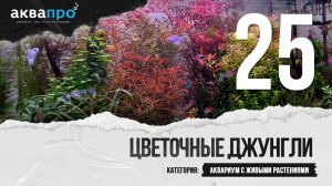25. Цветочные джунгли. Аквариум с живыми растениями