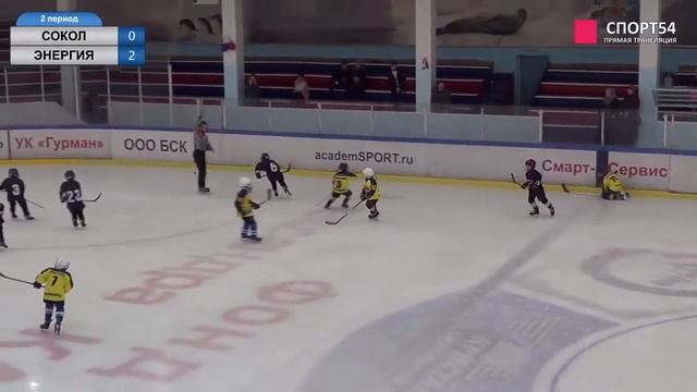 Турнир по хоккею среди команд 2011 г.р. "СОКОЛ" (Красноярск) - "ЭНЕРГИЯ" (Нск). 01 марта 2019 смотреть онлайн