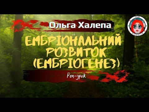 ЕМБРІОГЕНЕЗ (реп-урок) смотреть онлайн