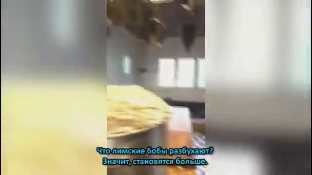 Интересные факты о бобах от Миши и Уэста [rus subs] смотреть онлайн