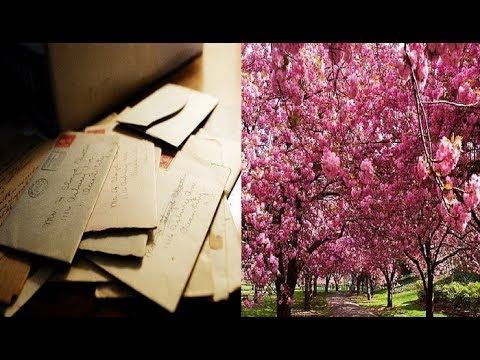 Что? Где? Когда? Вопрос о письмах счастья в Японии смотреть онлайн