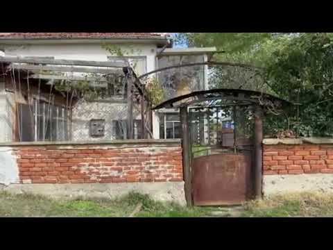 ЖИВ ЧОВЕК В КОВЧЕГ! ШОКИРАЩО 🇧🇬 Истината разказана от Меги Дерм смотреть онлайн