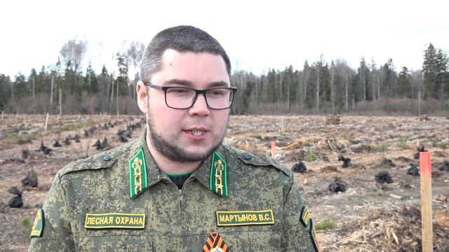 «Лес Победы» смотреть онлайн