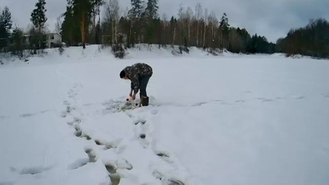 Ловля на жерлицы. Ловля налима и щуки на ЖЕРЛИЦЫ!