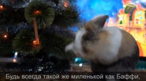 А ну-ка Давай-ка В ЭТОТ НОВЫЙ ГОД! НОВОГОДНЯЯ ПЕСНЯ