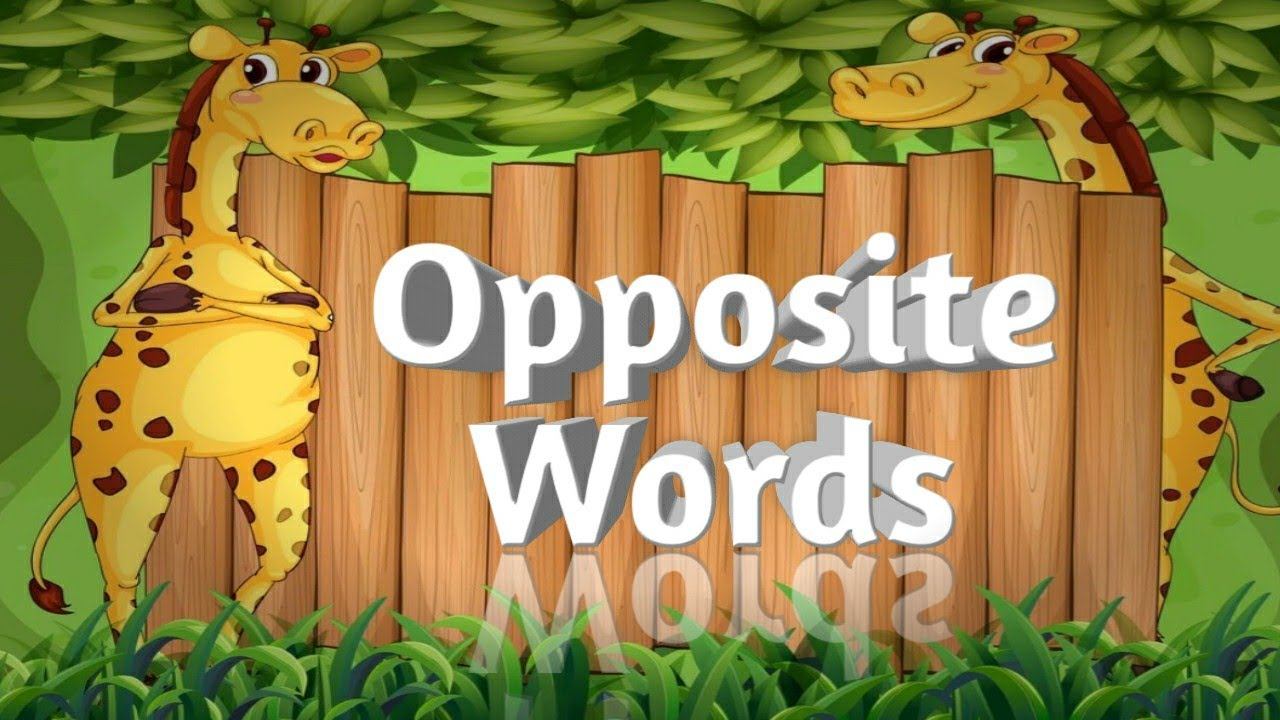 Opposite Words for kids || Opposite Words in English || Antonym Words || Opposites for preschoolers смотреть онлайн