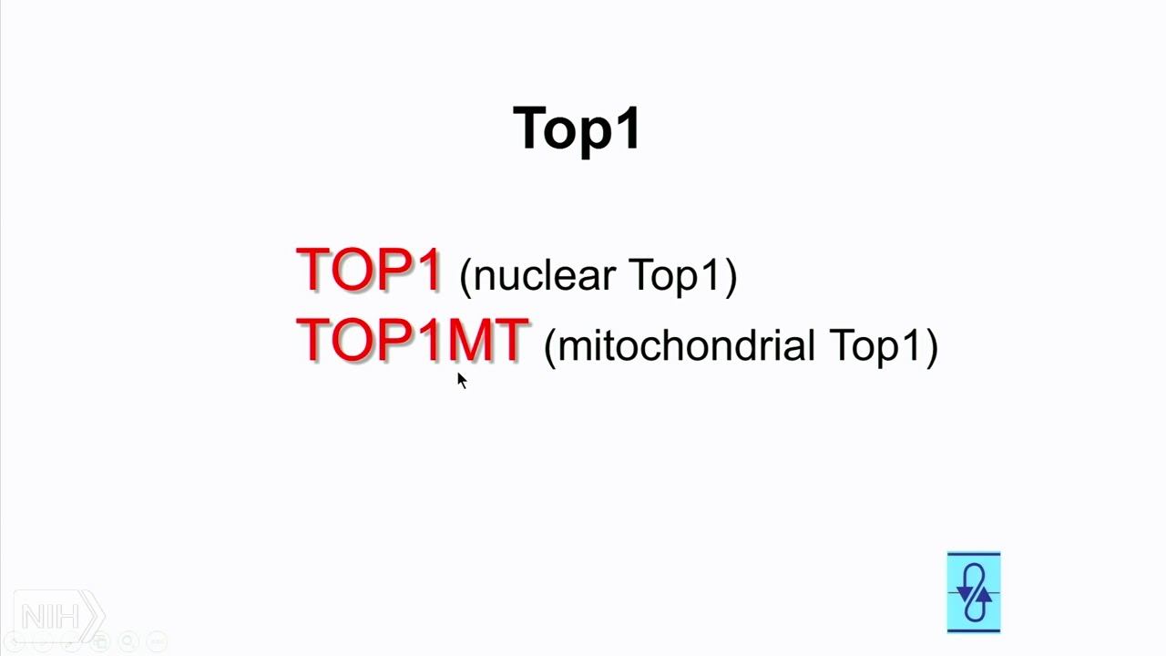 TRACO 2018 - Topoisomerases and Precision medicine смотреть онлайн