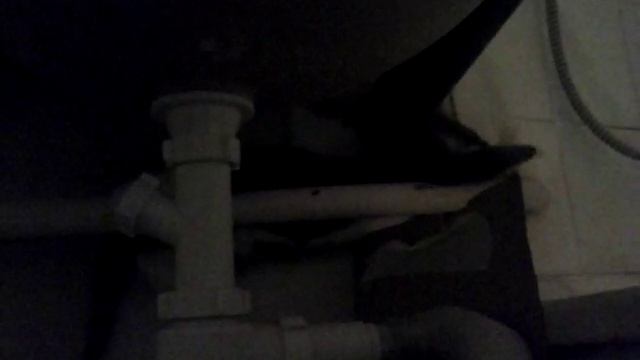 CAM04240 смотреть онлайн