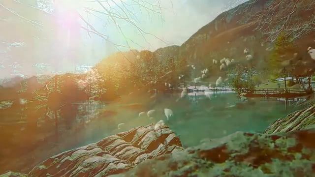 Признаки нарушенного обмена веществ — Статья смотреть онлайн