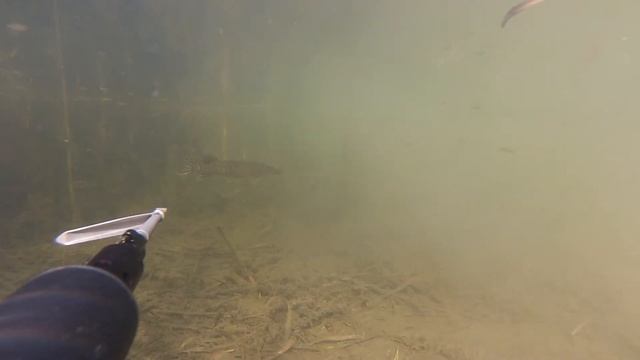 поныряли-поснимали смотреть онлайн