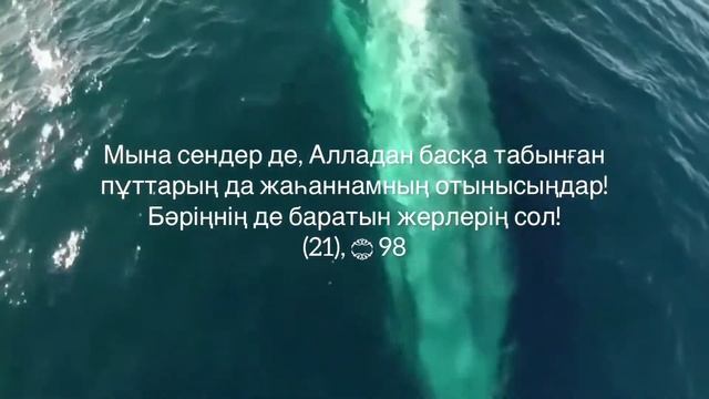 21.Әл-Әнбия(Пайғамбарлар)сүресі смотреть онлайн