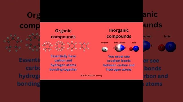 Differences between Organic and Inorganic Compounds. Biology of first secondary term 1 lesson 1. смотреть онлайн