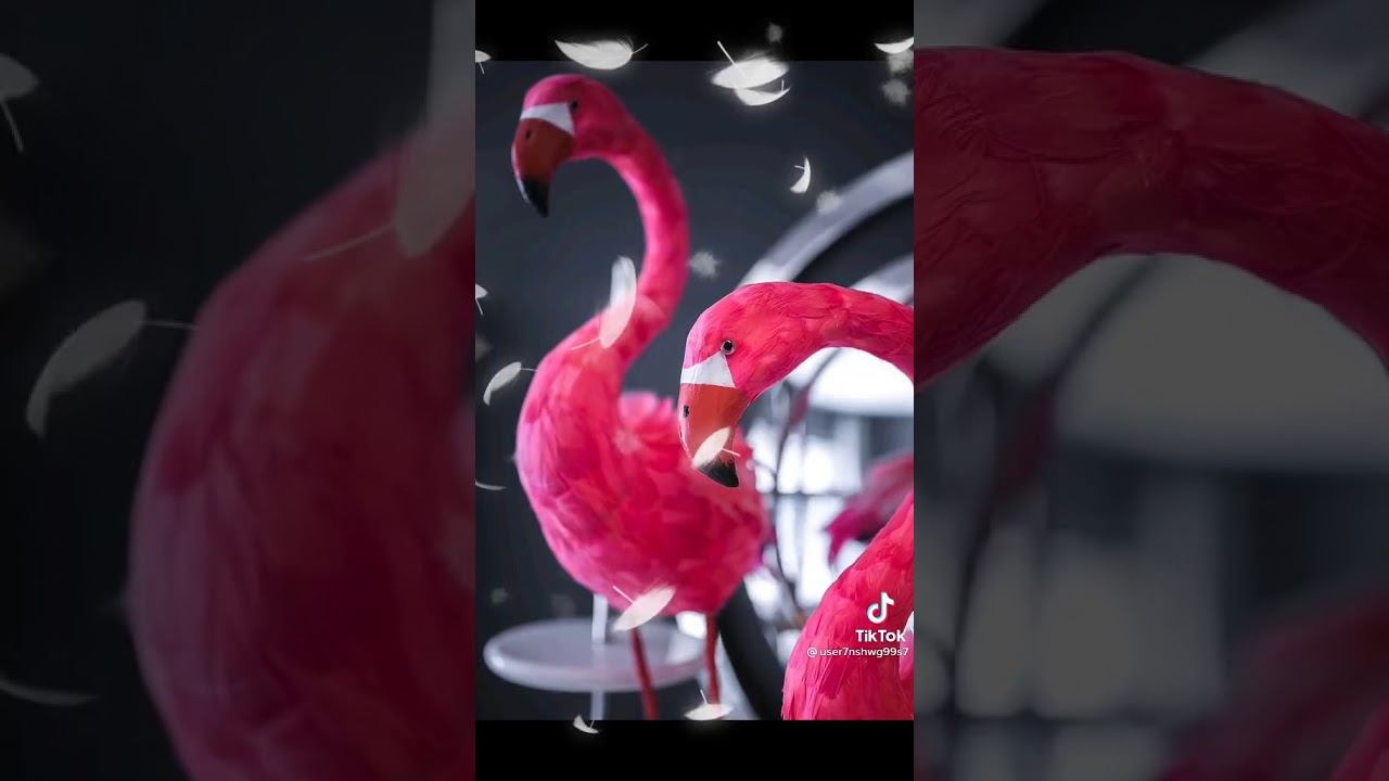 Природа тв сматрите смотреть онлайн