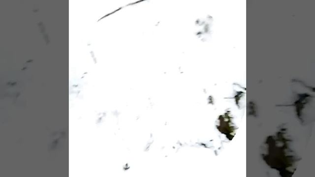 😀😀😀😀😀😀😀😀😀😀😀😀😀 смотреть онлайн