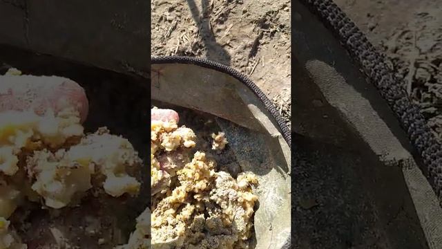 Секрет ловли БОЛЬШИХ ЛЕЩЕЙ!! #shorts