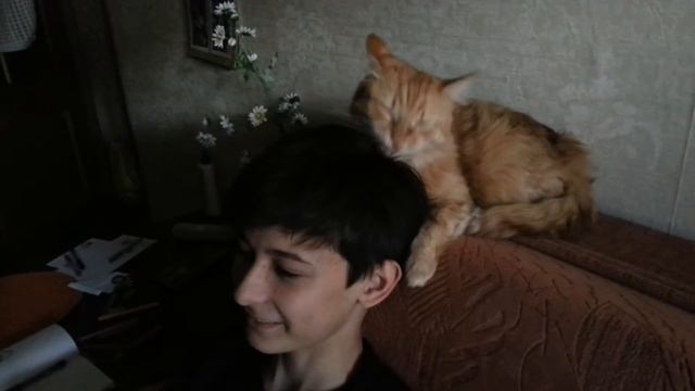 Неумытый поросенок смотреть онлайн