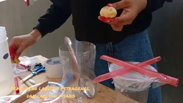 Monitoring perangkap lalat buah (Drosophila melanogaster) смотреть онлайн