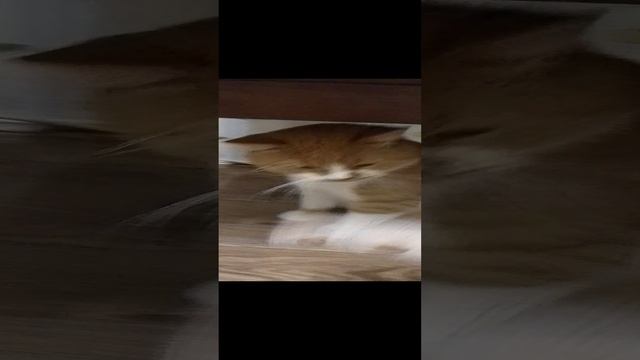 п
р смотреть онлайн