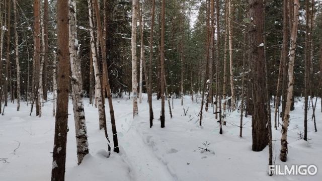 1 марта смотреть онлайн