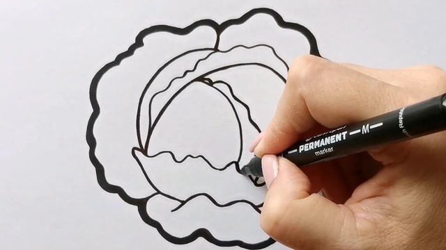 Как нарисовать КАПУСТУ / ОВОЩИ / раскраска для детей / Нарисуй Ка смотреть онлайн