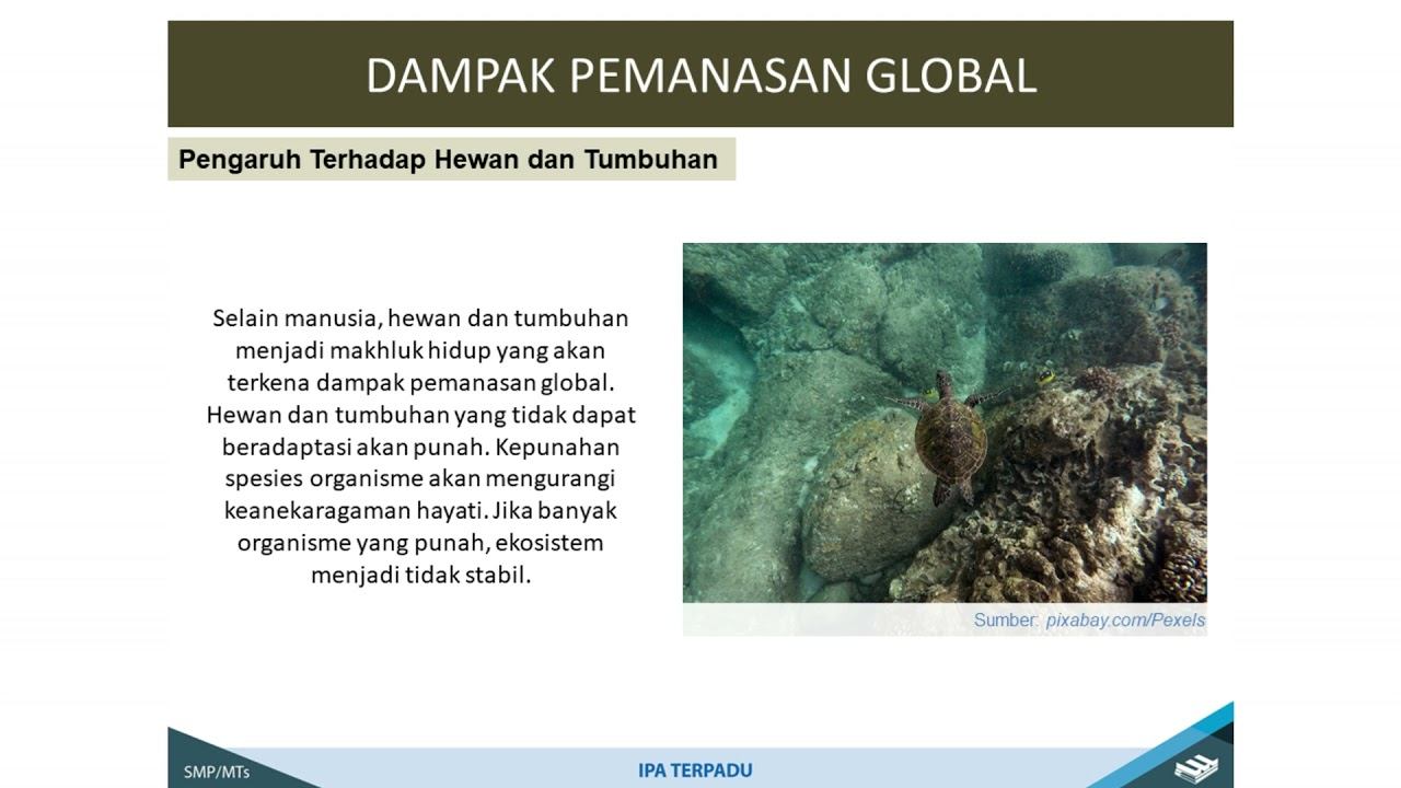 IPA SMP : Pemanasan Global смотреть онлайн