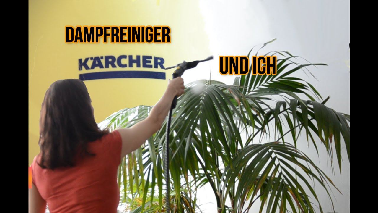 DAMPFREINIGER KÄRCHER UND ICH смотреть онлайн