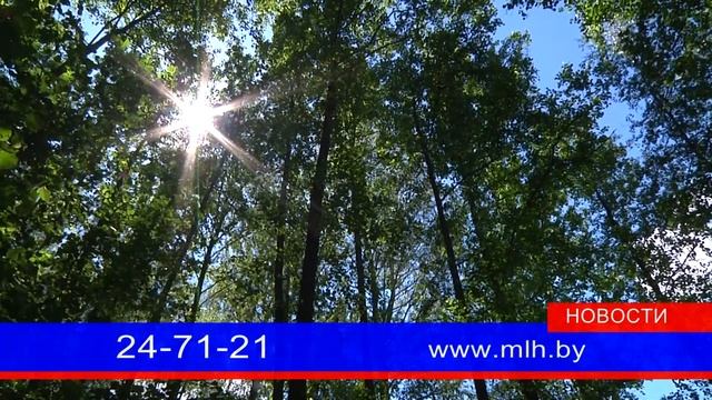 с 11 июня введен запрет на посещение лесов смотреть онлайн
