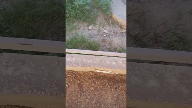 Продолжаем работу с фундаментом. смотреть онлайн