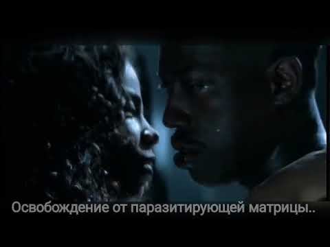 Что скоро ждёт систему паразитов.... смотреть онлайн