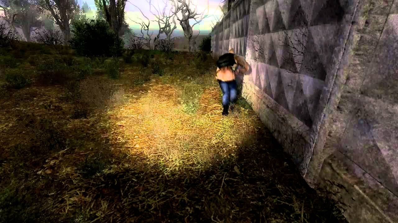 Stalker «Dark Valley Test» смотреть онлайн