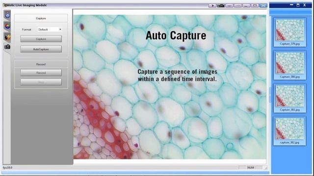Motic Images Plus 2.0 First Steps | By Motic Europe