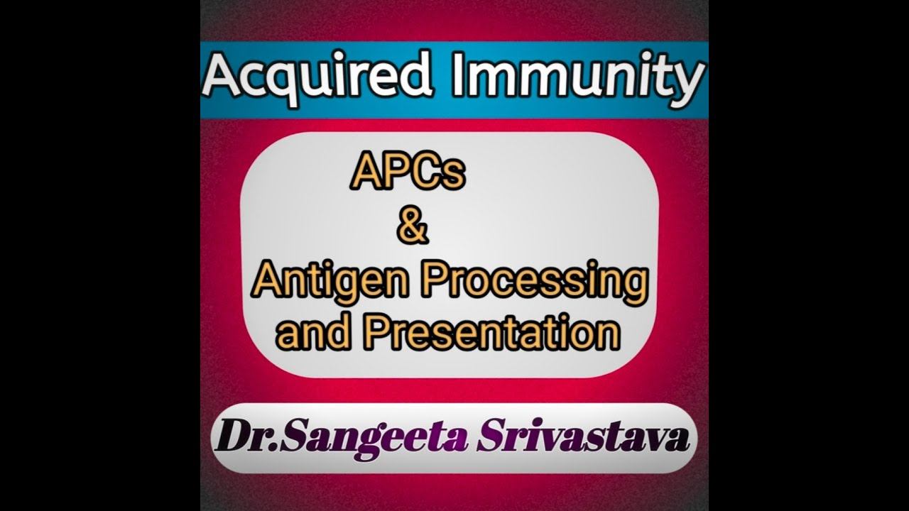 Immunology L-3 Acquired Immunity Part-1/4:APCs & Antigen Processing and Presentation смотреть онлайн
