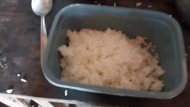 levei dona Conceição para acompanha o dia de quebra de coco смотреть онлайн