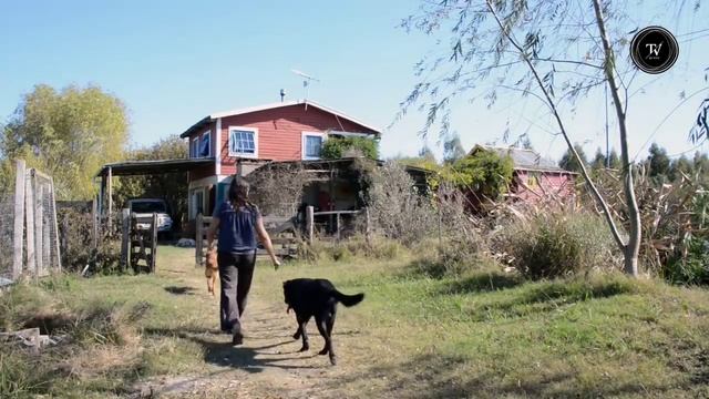Entrevista a Laura Rosano, productora de frutos nativos de Uruguay смотреть онлайн