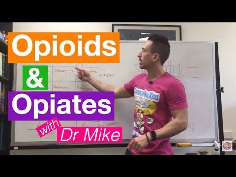 Opioids and Opiates смотреть онлайн