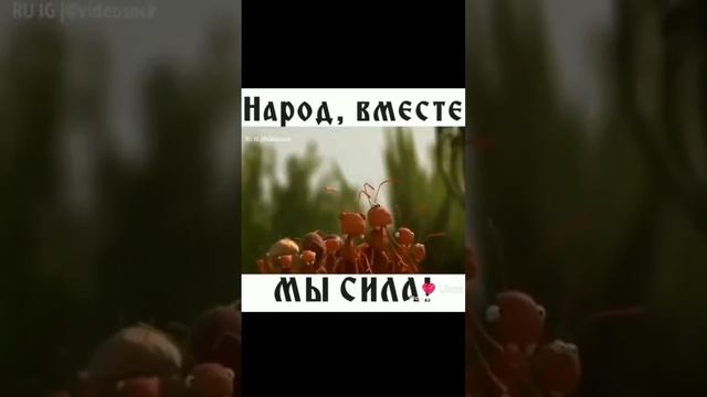 . смотреть онлайн
