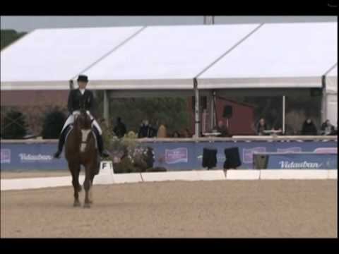Vidauban CDI 2015, FEI GP смотреть онлайн