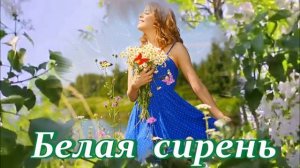 БЕСПОДОБНАЯ ПЕСНЯ - БЕЛАЯ СИРЕНЬ