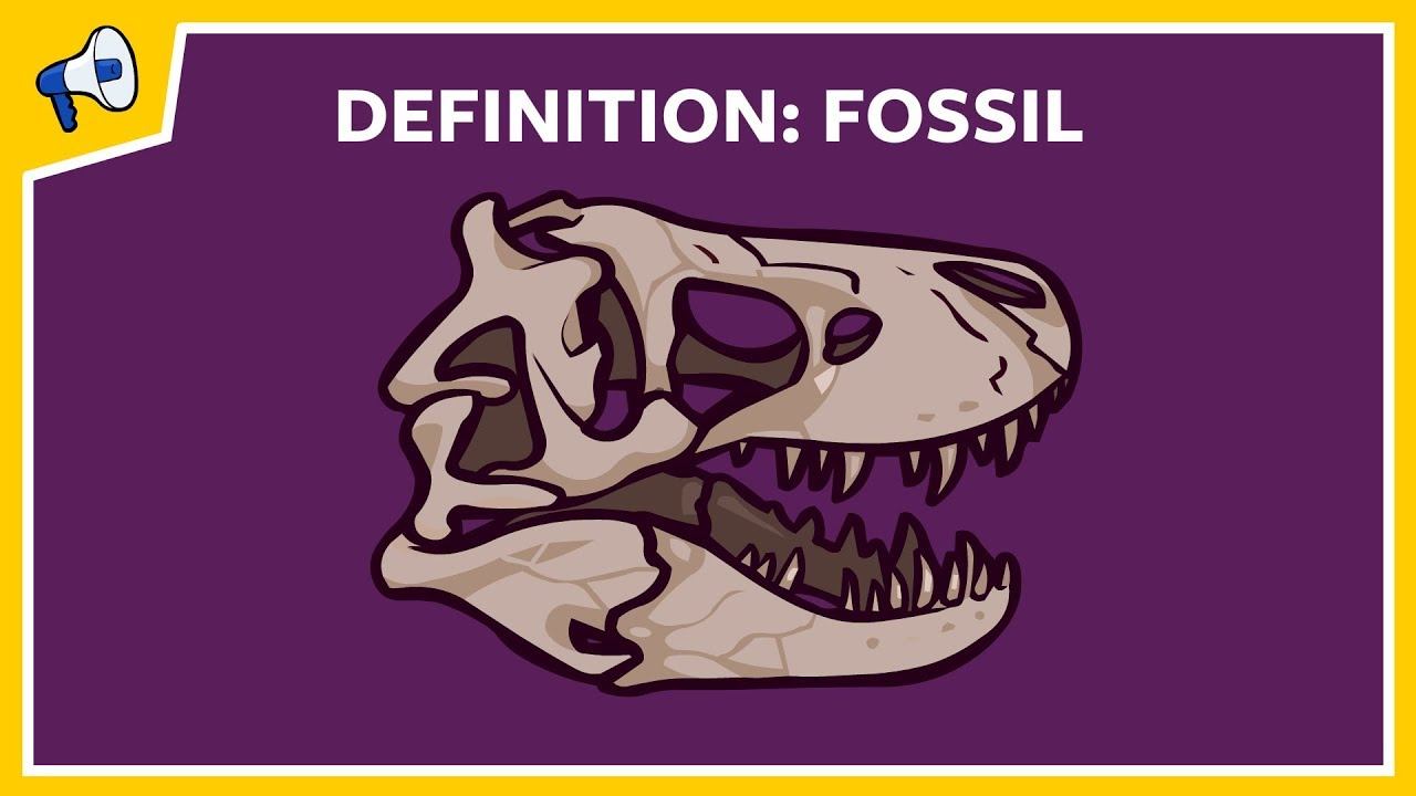 What is a fossil? Quick Definition смотреть онлайн