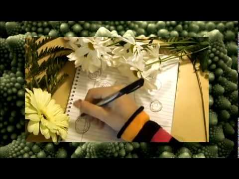 фракталы брокколи смотреть онлайн