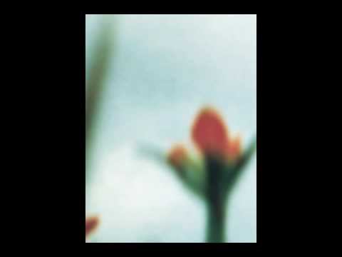 Nine Inch Nails - The Day the World Went Away (Piano Cover) смотреть онлайн