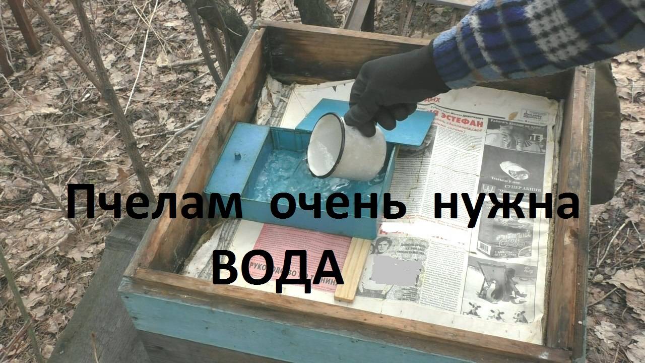 Жажда пчел - что это смотреть онлайн