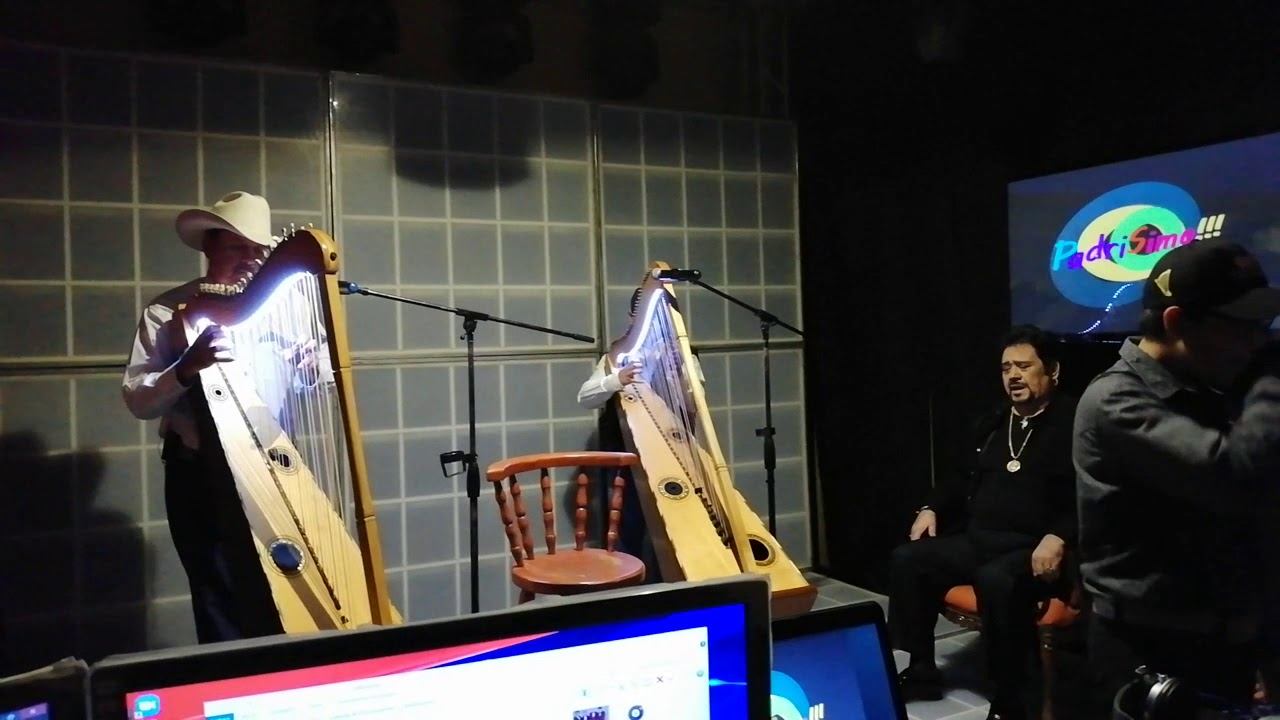 Studio Org Digital TV смотреть онлайн