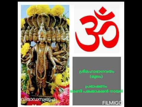 Bhagavatham Skandam 03 Adhyayam 07 വിദുര-മൈത്രേയ സംവാദം by Ramani Pankajakshan Nair смотреть онлайн